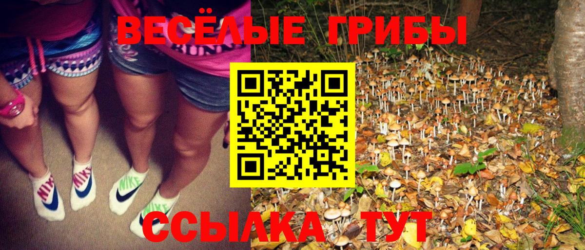 Псилоцибиновые грибы Cubensis  Вход с VPN  Белореченск  дарнет шоп  Галлюциногенные грибы мухоморы 